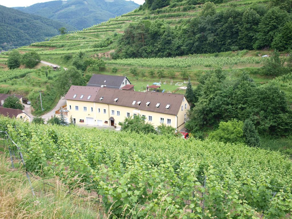 Appartamento Weinbau Weidenauer Wösendorf Esterno foto